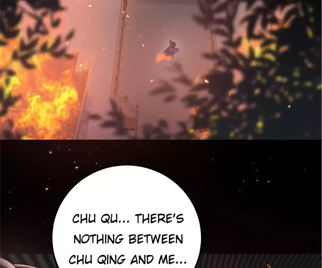 Fated to be a Phoenix Chapter 55 page 3