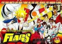 FLAGS cover