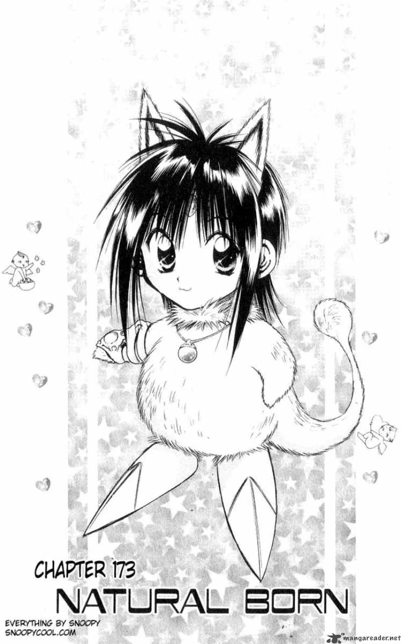 Flame Of Recca Chapter 174 page 1