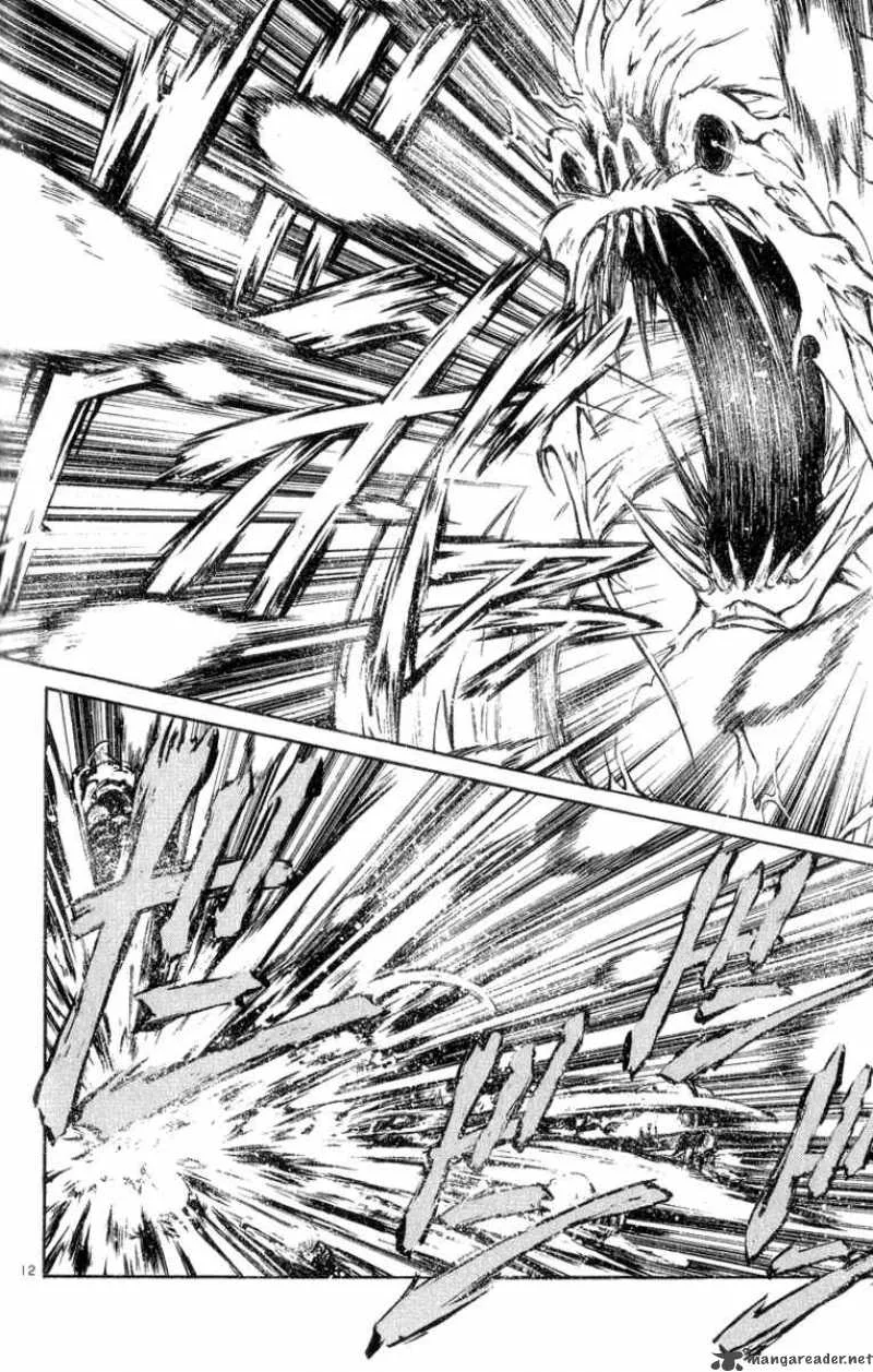 Flame Of Recca Chapter 195 page 11