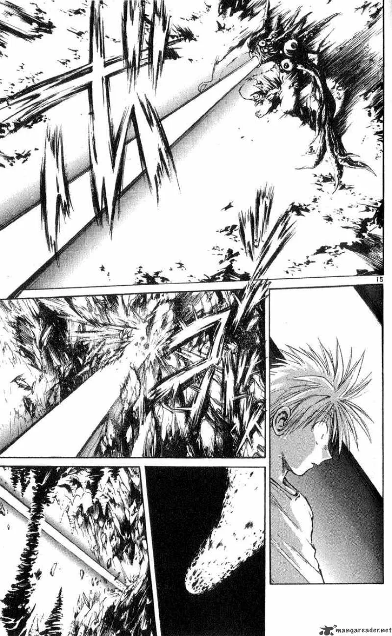 Flame Of Recca Chapter 204 page 15