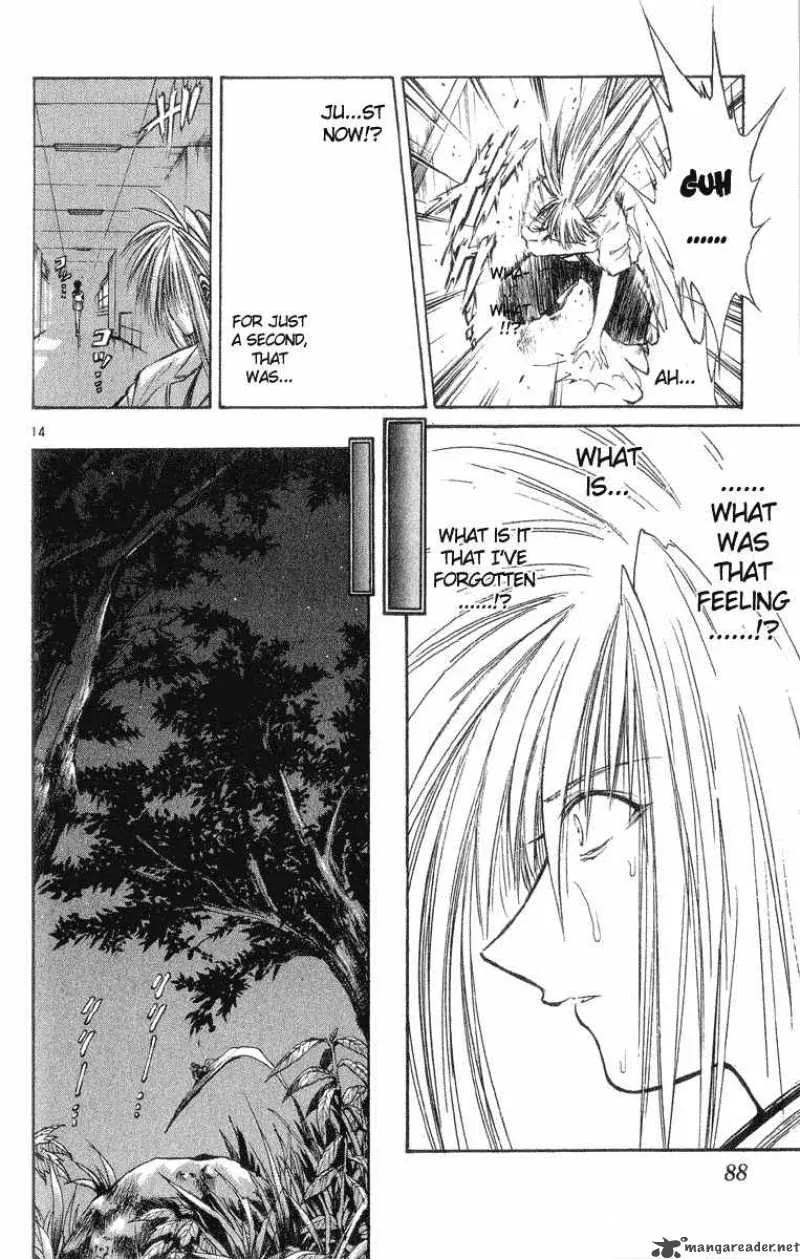 Flame Of Recca Chapter 213 page 14