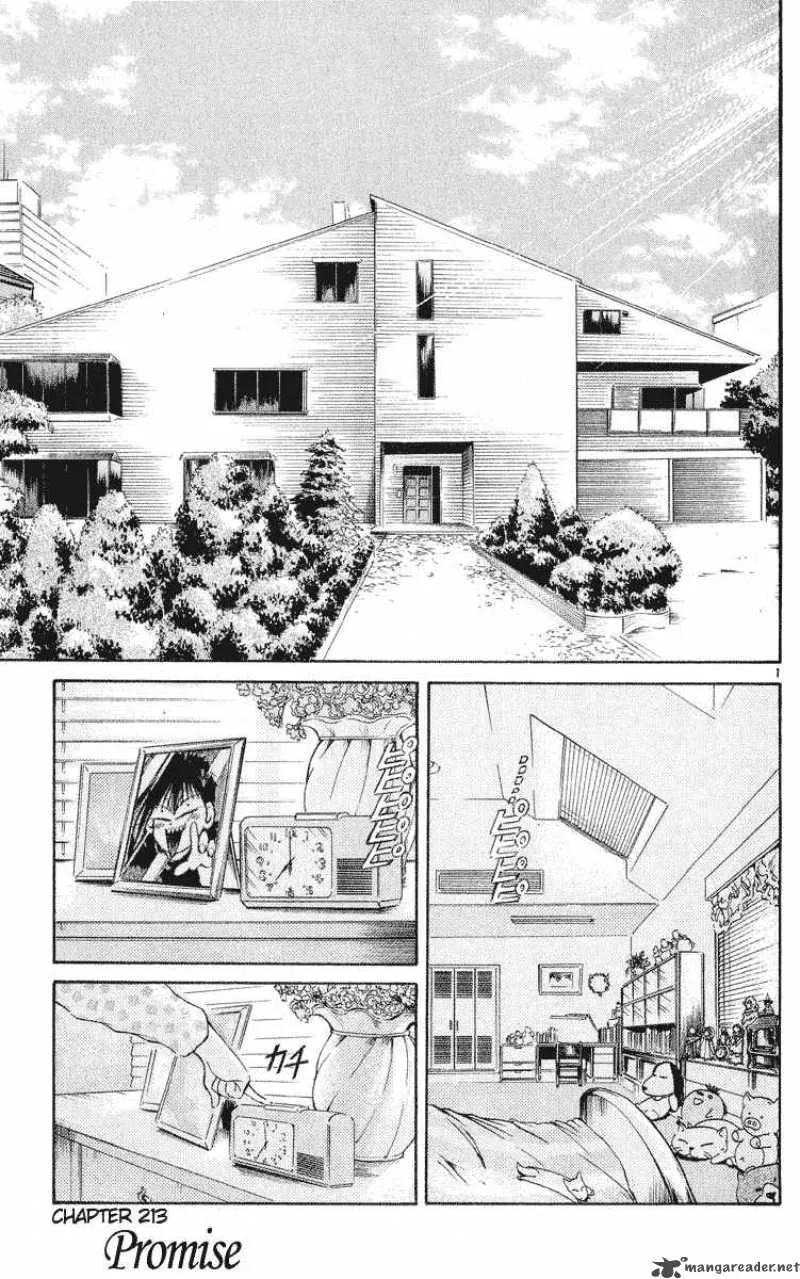 Flame Of Recca Chapter 214 page 1