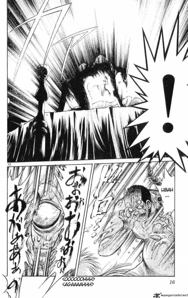 Flame Of Recca Chapter 219 page 14