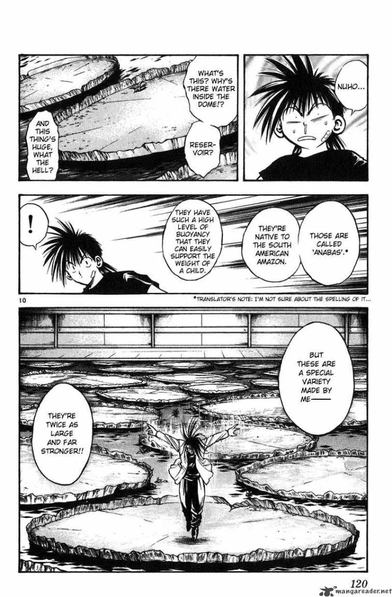 Flame Of Recca Chapter 255 page 10