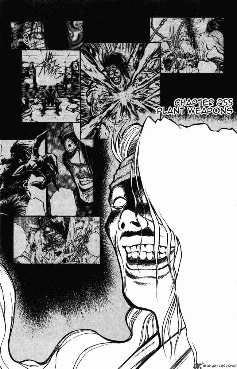 Flame Of Recca Chapter 256 page 1