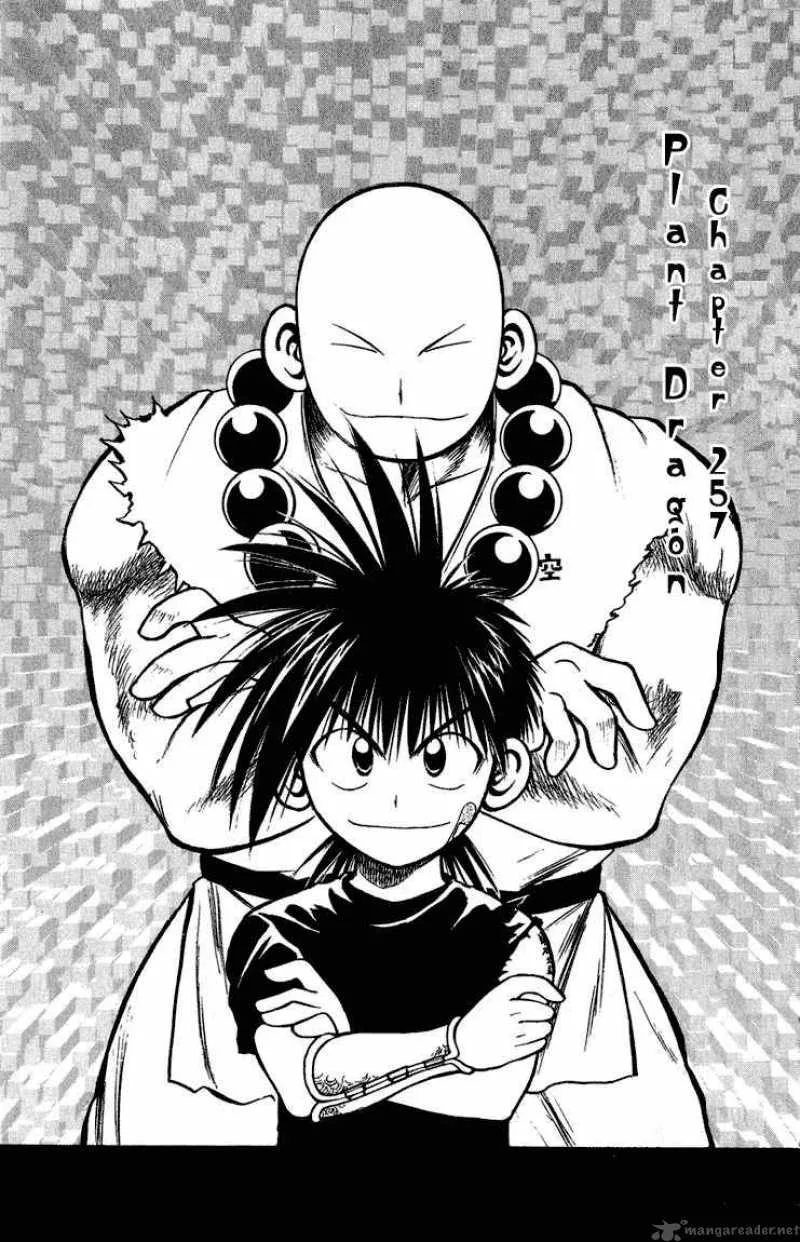 Flame Of Recca Chapter 258 page 1
