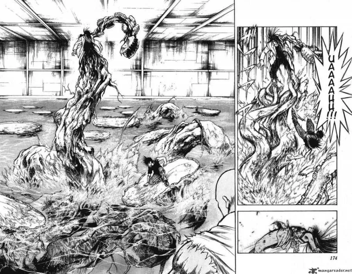 Flame Of Recca Chapter 258 page 13