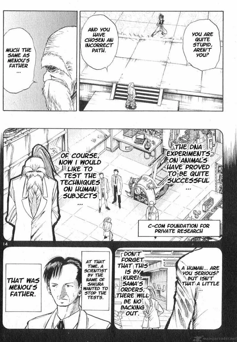 Flame Of Recca Chapter 63 page 14
