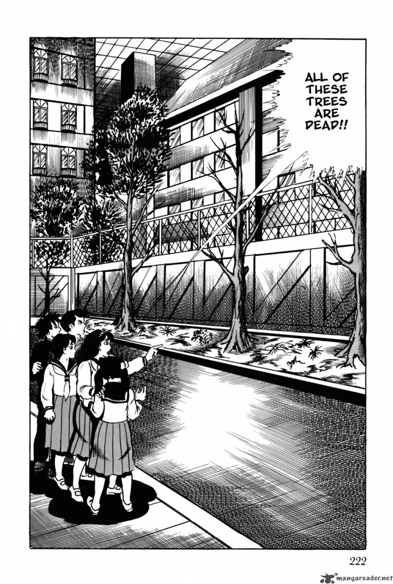 Fourteen Chapter 82 page 226