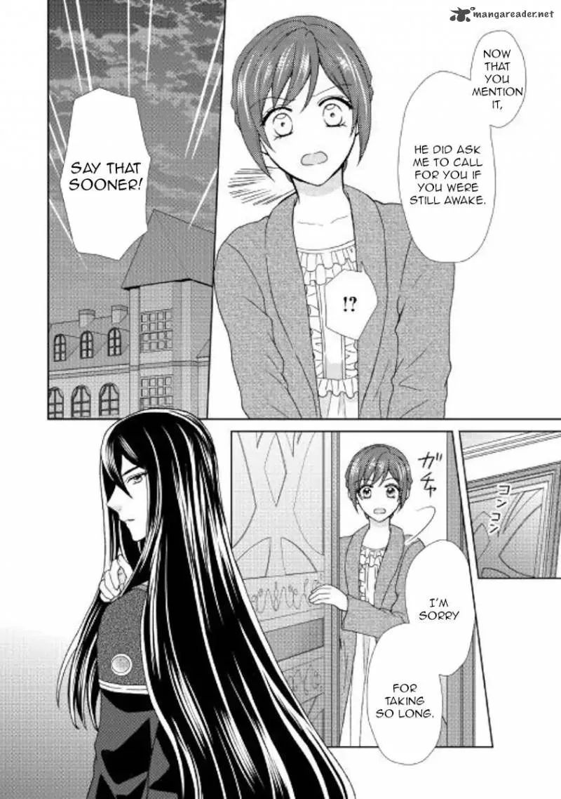 From Maid to Mother Chapter 29 page 12