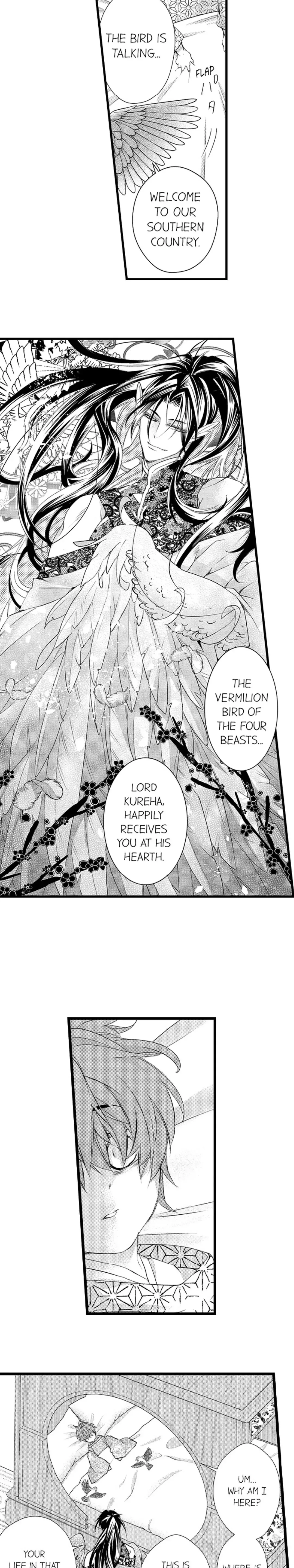 Fudanshi Shoukan: Isekai de Shinjuu ni Hameraremashita Chapter 145 page 6