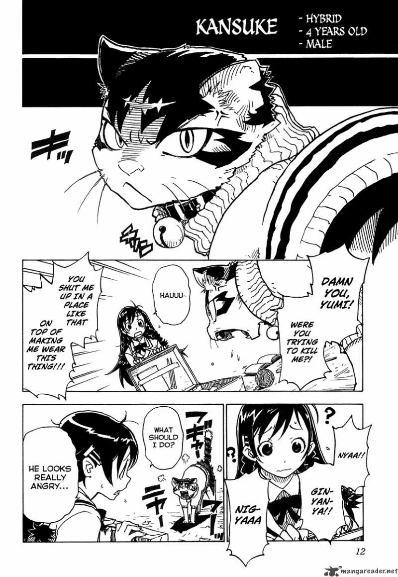 Gakuen Sousei Nekoten! Chapter 1 page 15