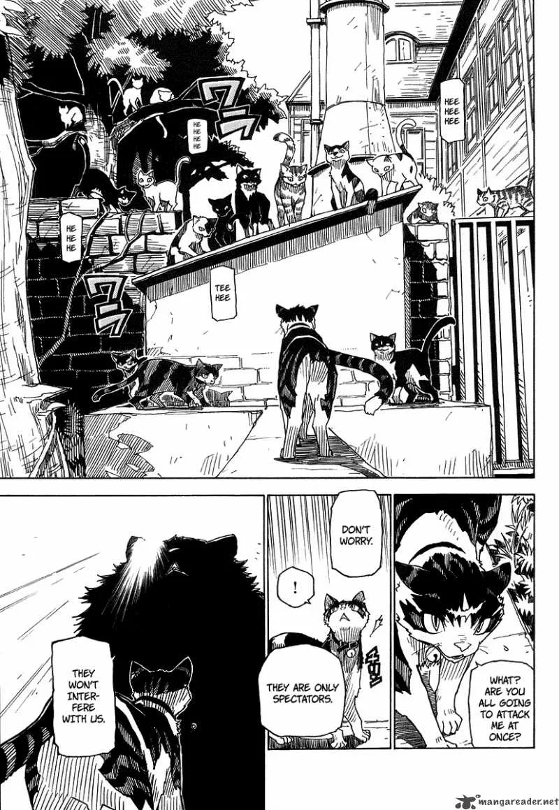 Gakuen Sousei Nekoten! Chapter 1 page 34
