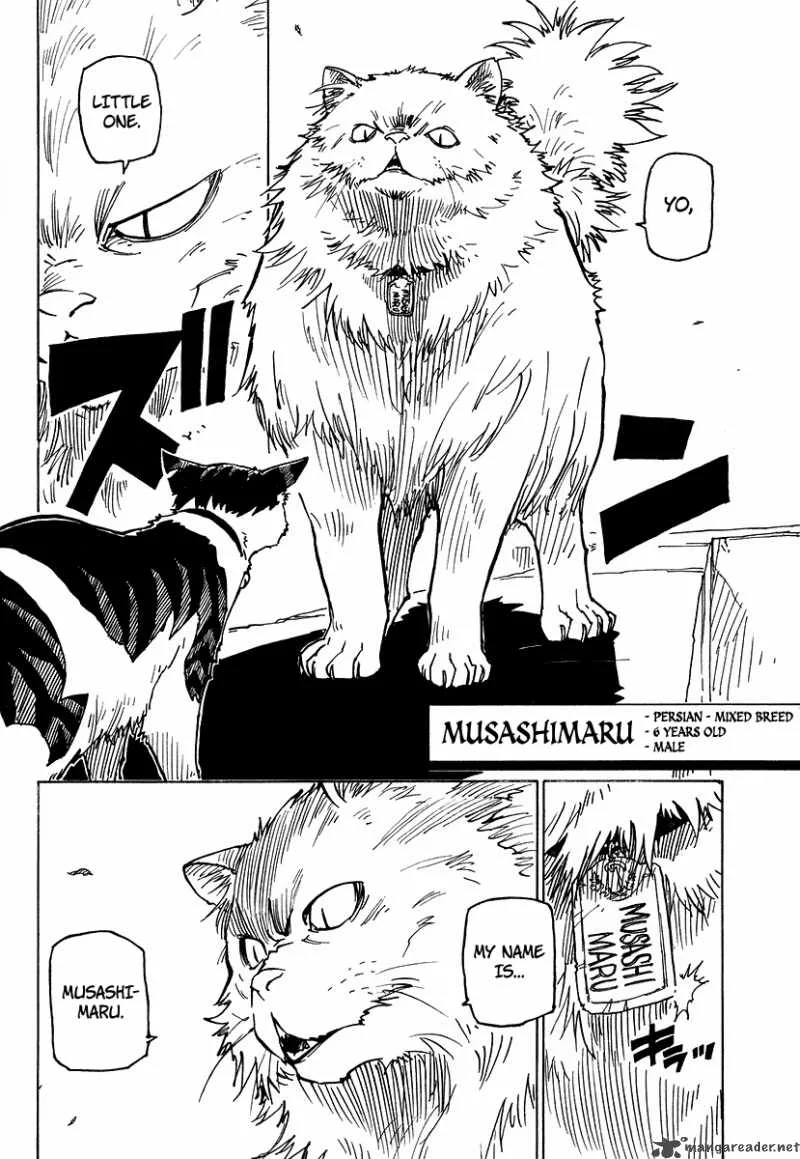Gakuen Sousei Nekoten! Chapter 1 page 35