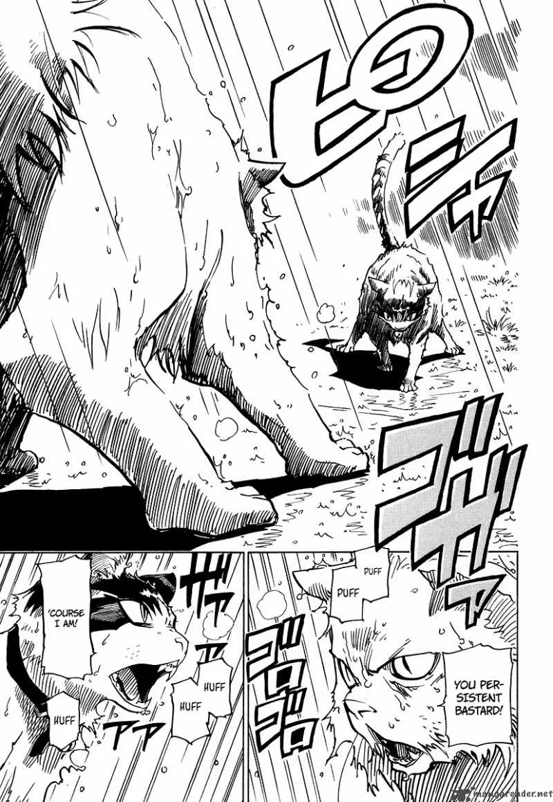 Gakuen Sousei Nekoten! Chapter 1 page 42