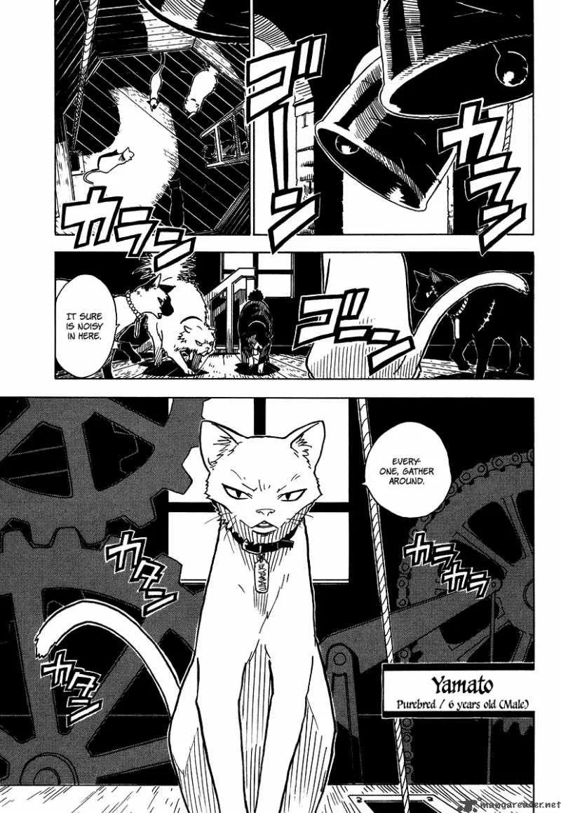 Gakuen Sousei Nekoten! Chapter 3 page 9