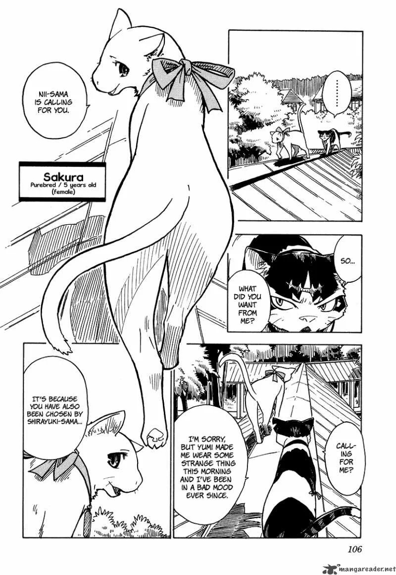 Gakuen Sousei Nekoten! Chapter 3 page 12