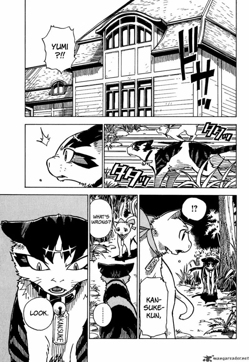 Gakuen Sousei Nekoten! Chapter 7 page 20