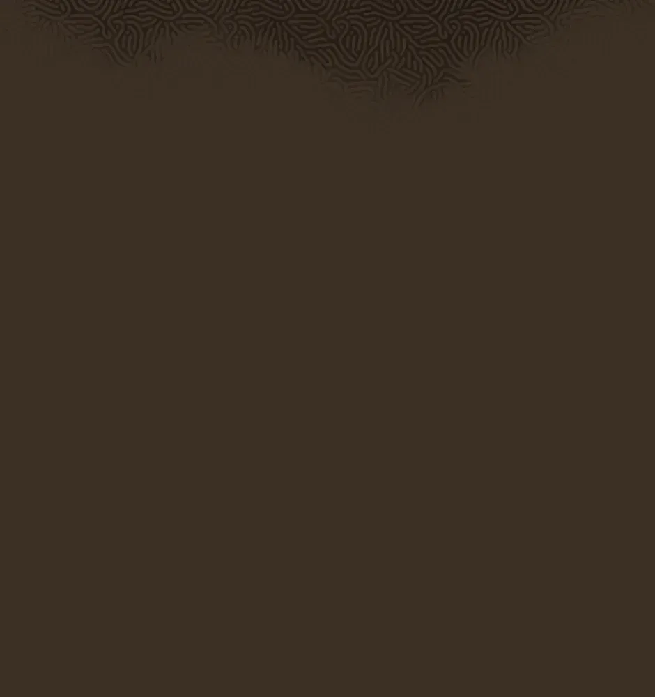 Gender Roles Chapter 0.24 page 84