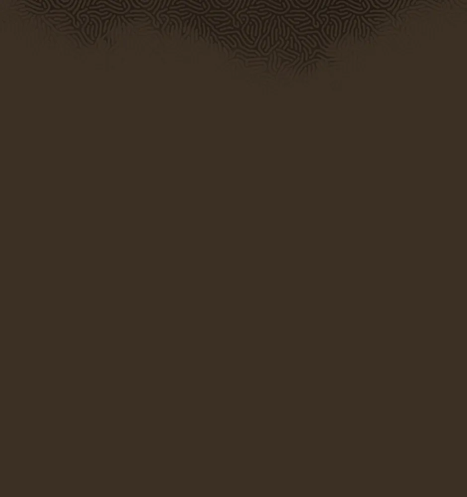 Gender Roles Chapter 25 page 62