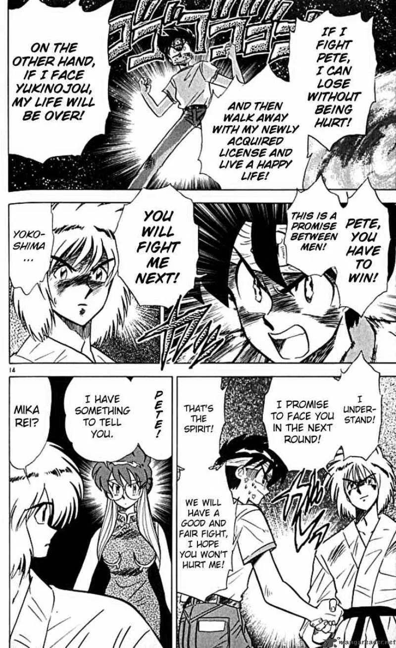 Ghost Sweeper Mikami Chapter 100 page 14
