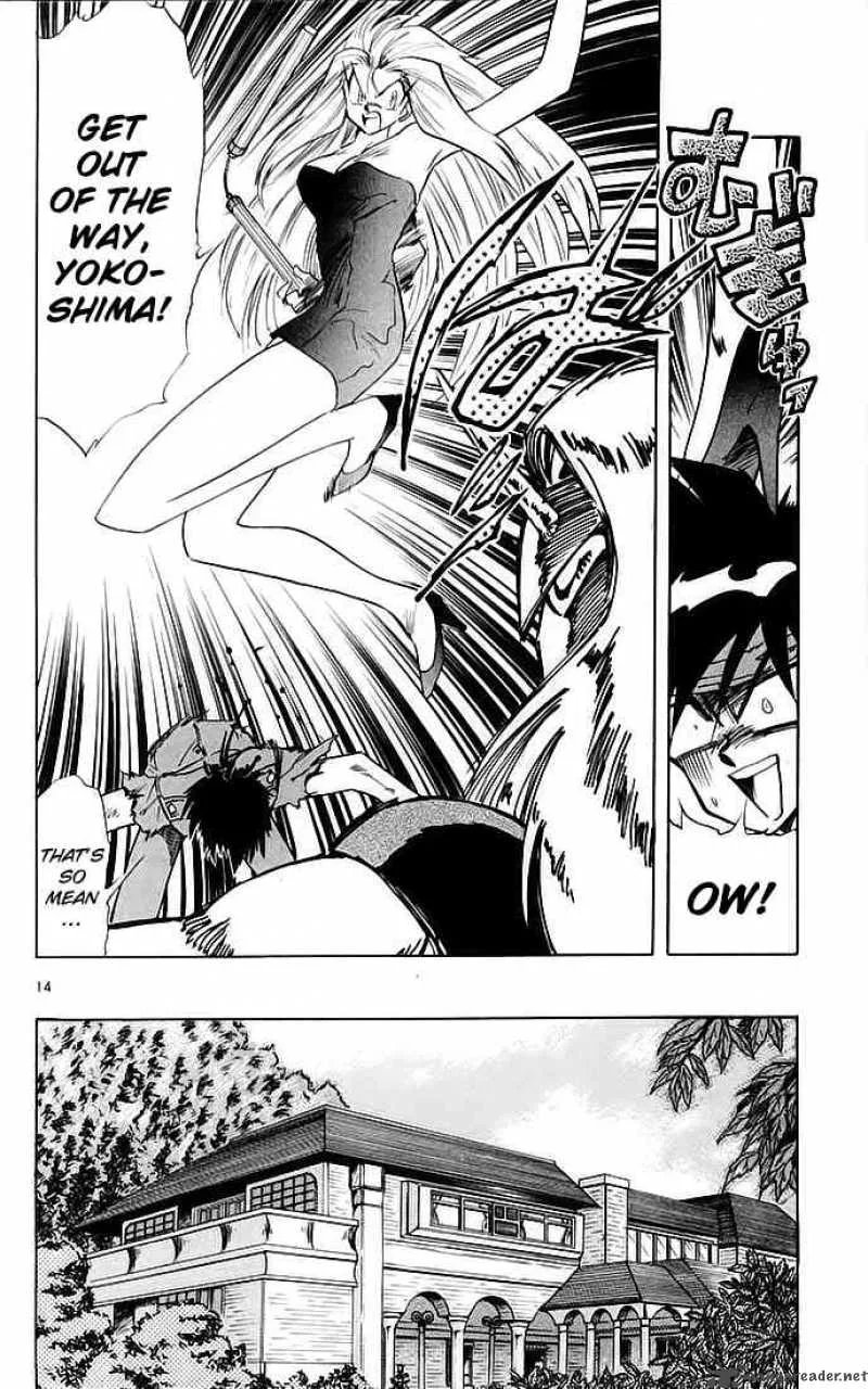 Ghost Sweeper Mikami Chapter 135 page 14