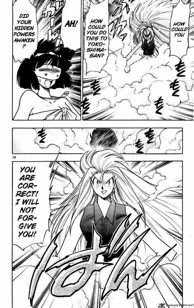 Ghost Sweeper Mikami Chapter 143 page 15