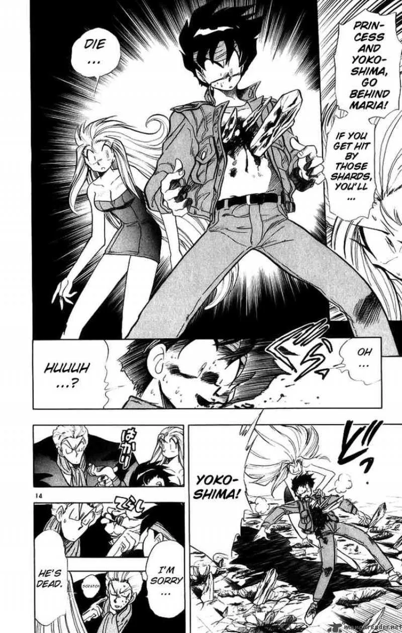 Ghost Sweeper Mikami Chapter 166 page 14