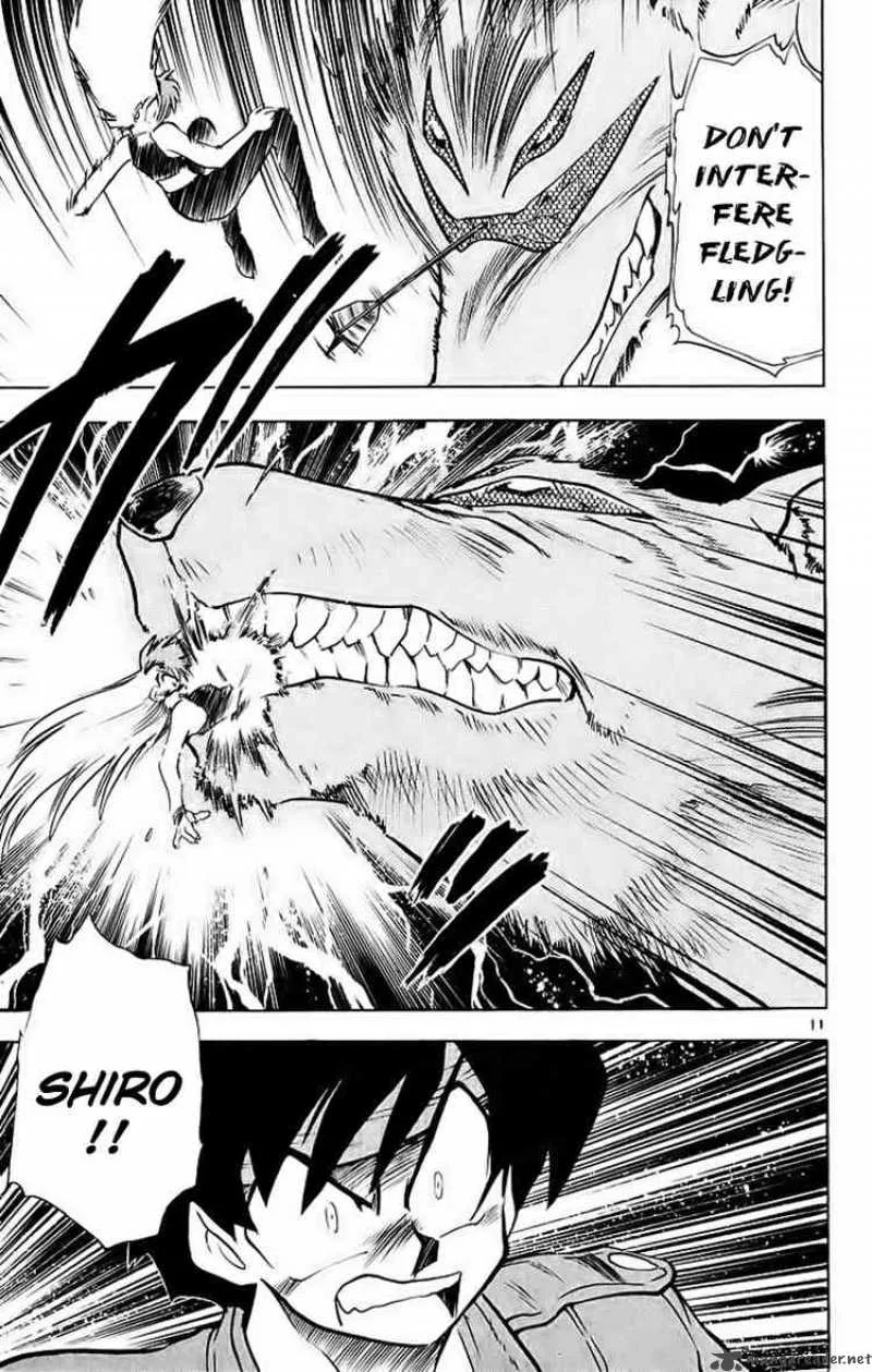 Ghost Sweeper Mikami Chapter 185 page 11