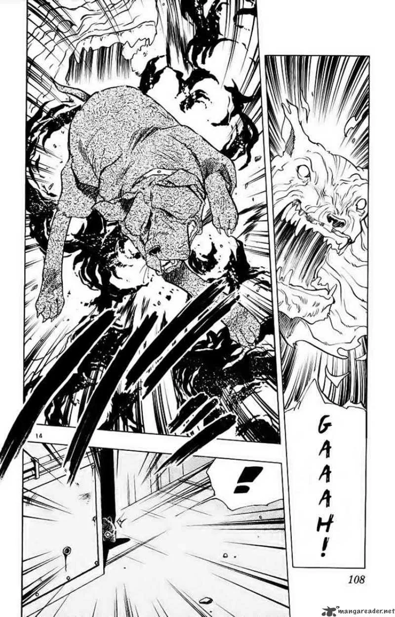 Ghost Sweeper Mikami Chapter 189 page 14