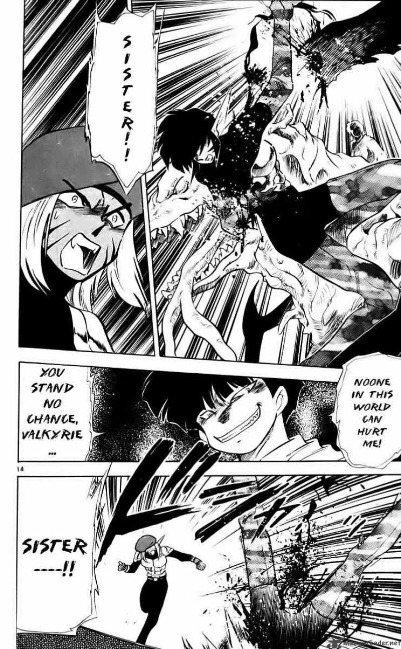 Ghost Sweeper Mikami Chapter 211 page 14