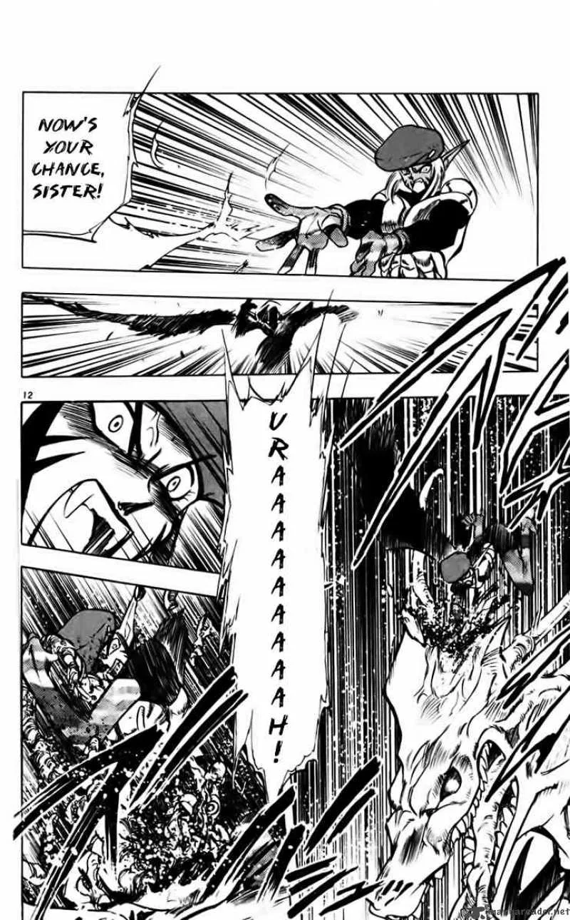 Ghost Sweeper Mikami Chapter 211 page 12