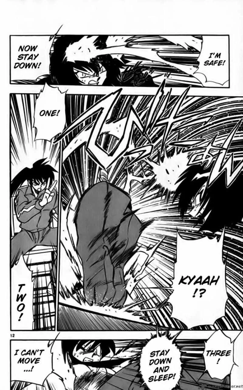 Ghost Sweeper Mikami Chapter 244 page 13