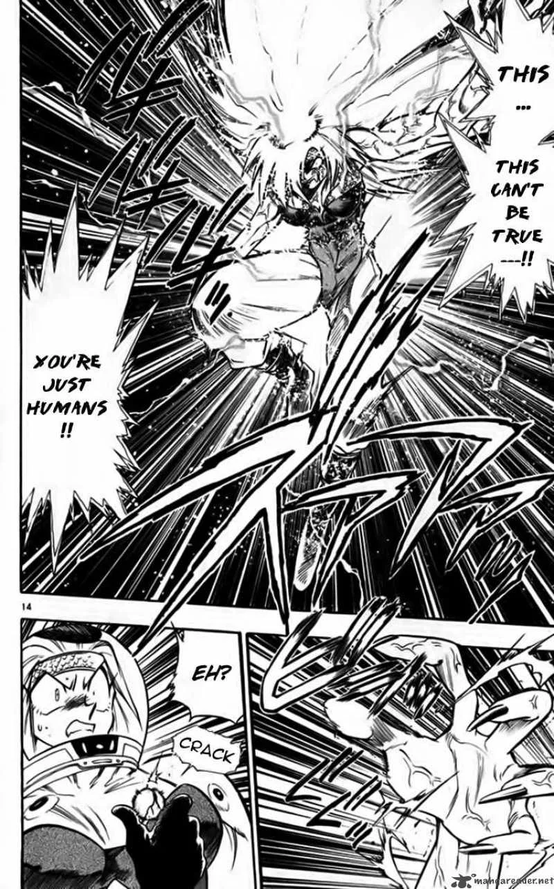 Ghost Sweeper Mikami Chapter 248 page 14