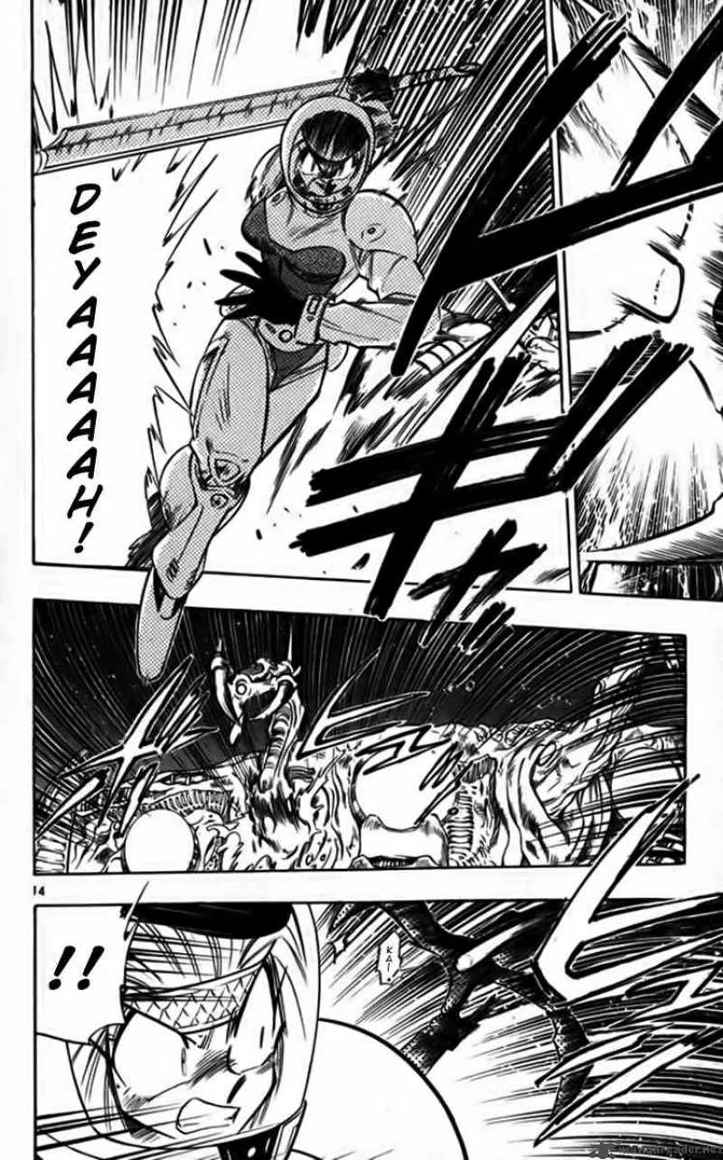 Ghost Sweeper Mikami Chapter 249 page 14
