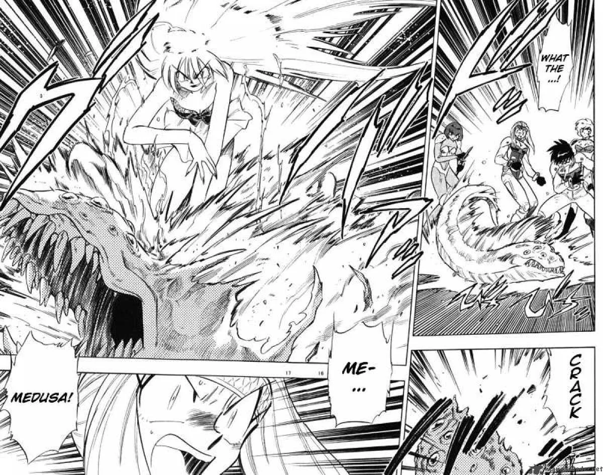 Ghost Sweeper Mikami Chapter 250 page 16