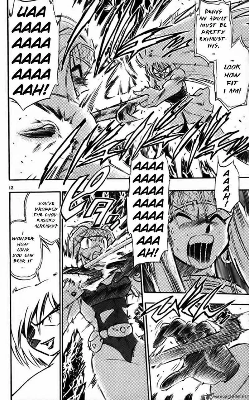 Ghost Sweeper Mikami Chapter 252 page 12