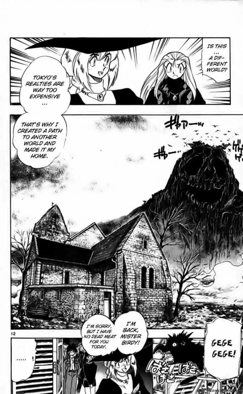 Ghost Sweeper Mikami Chapter 255 page 12