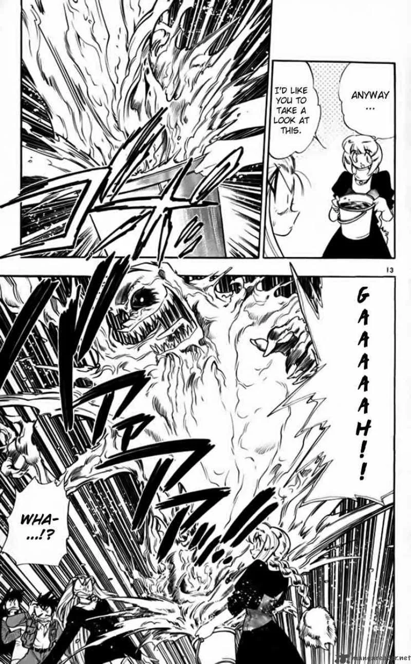 Ghost Sweeper Mikami Chapter 256 page 13