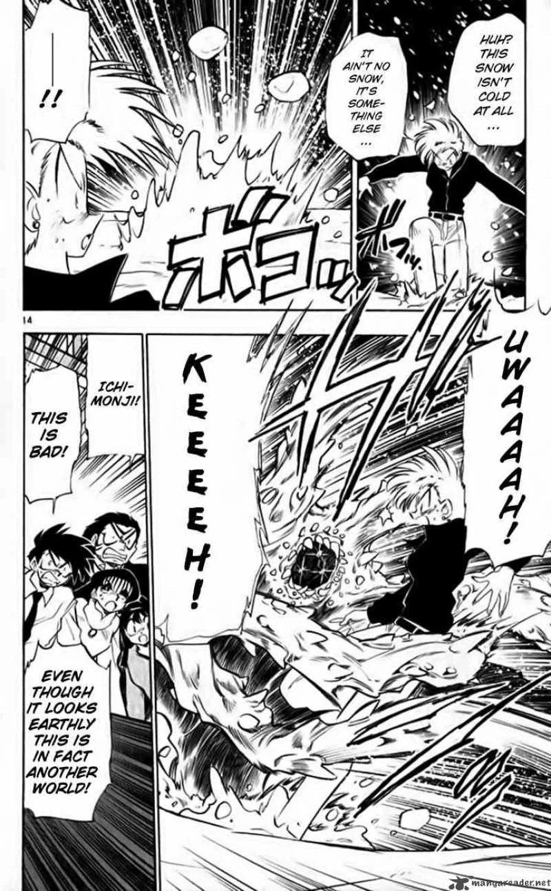 Ghost Sweeper Mikami Chapter 260 page 14