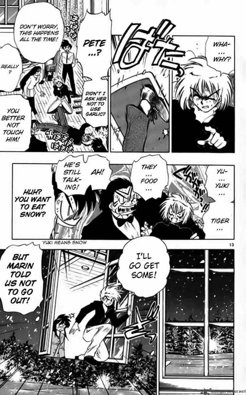 Ghost Sweeper Mikami Chapter 260 page 13