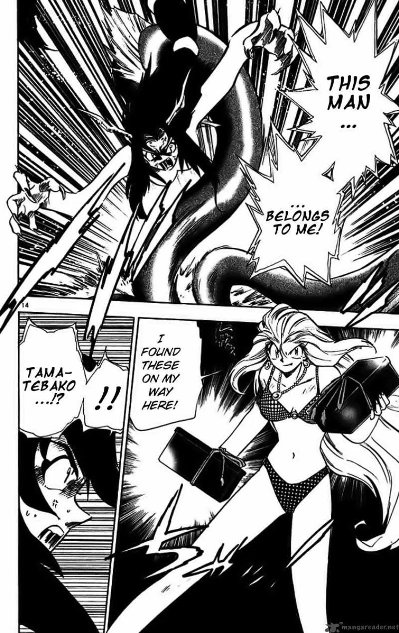 Ghost Sweeper Mikami Chapter 284 page 14