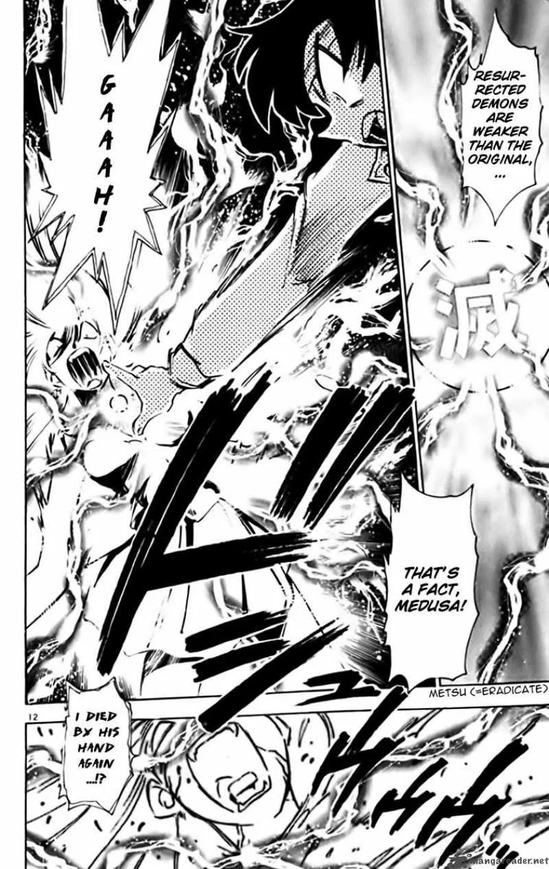 Ghost Sweeper Mikami Chapter 333 page 14