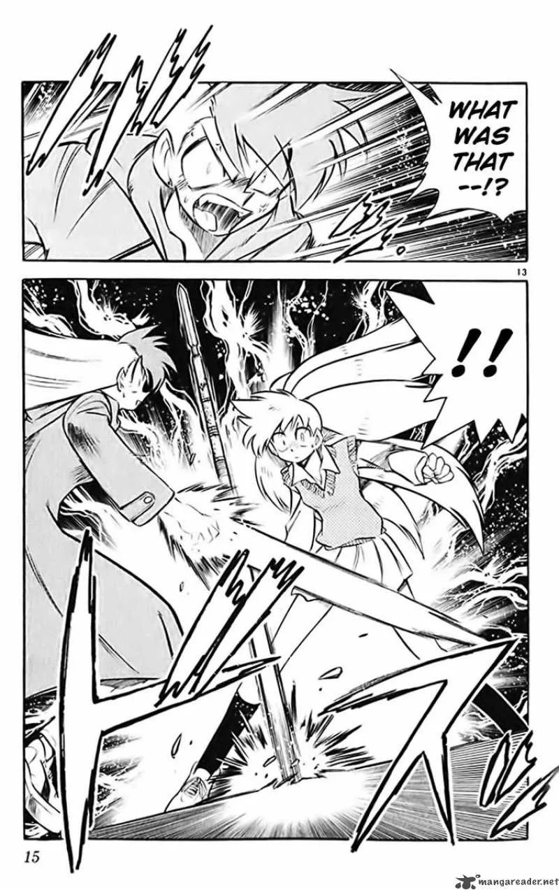 Ghost Sweeper Mikami Chapter 363 page 14