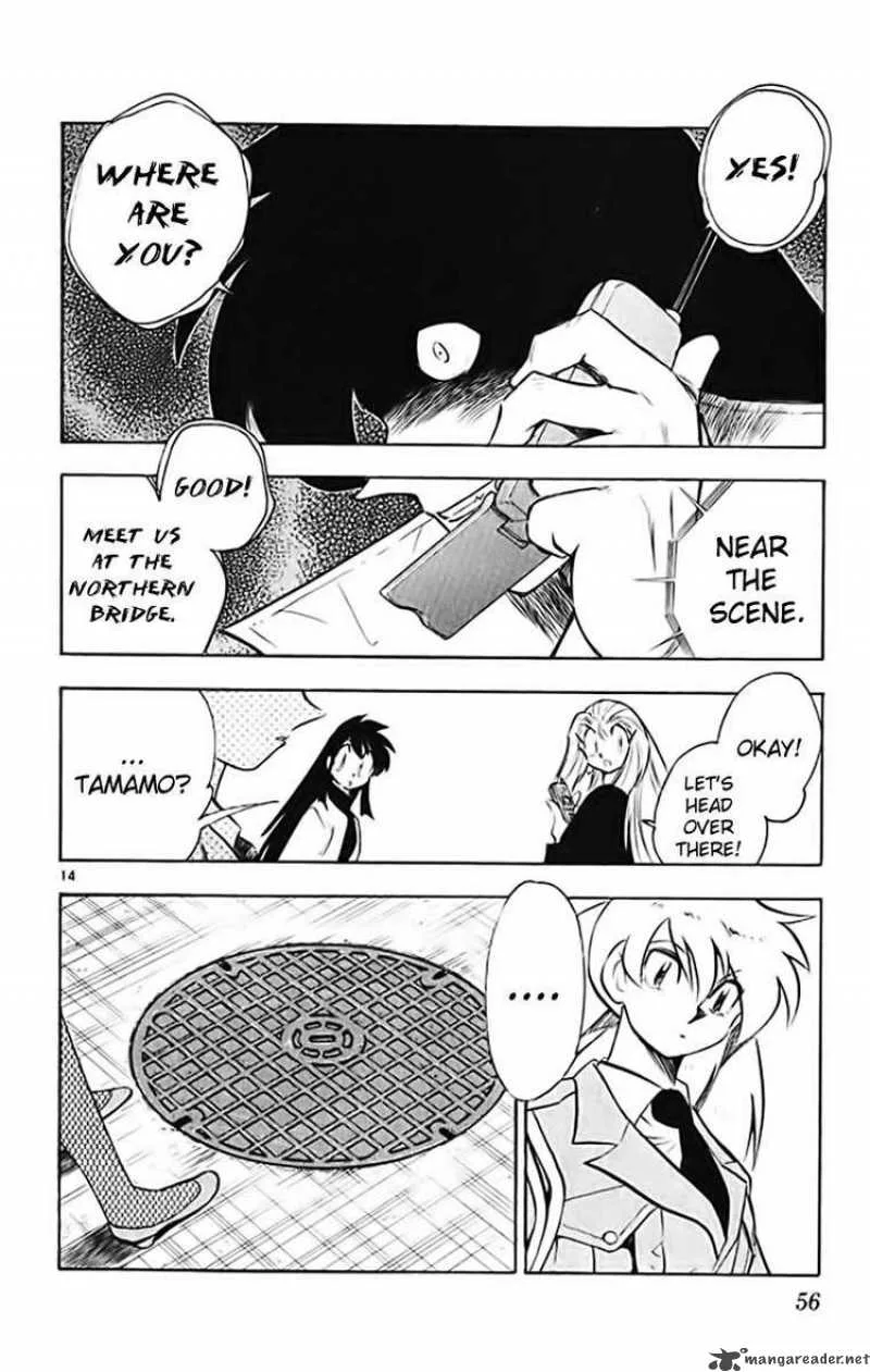 Ghost Sweeper Mikami Chapter 365 page 14