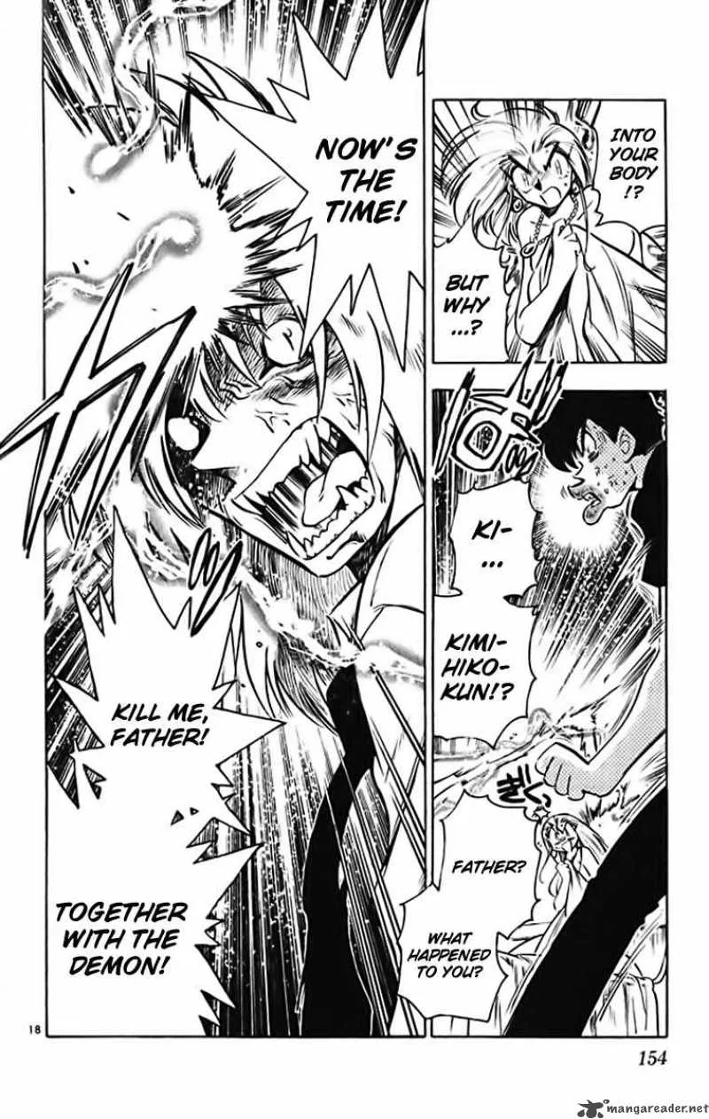 Ghost Sweeper Mikami Chapter 370 page 18