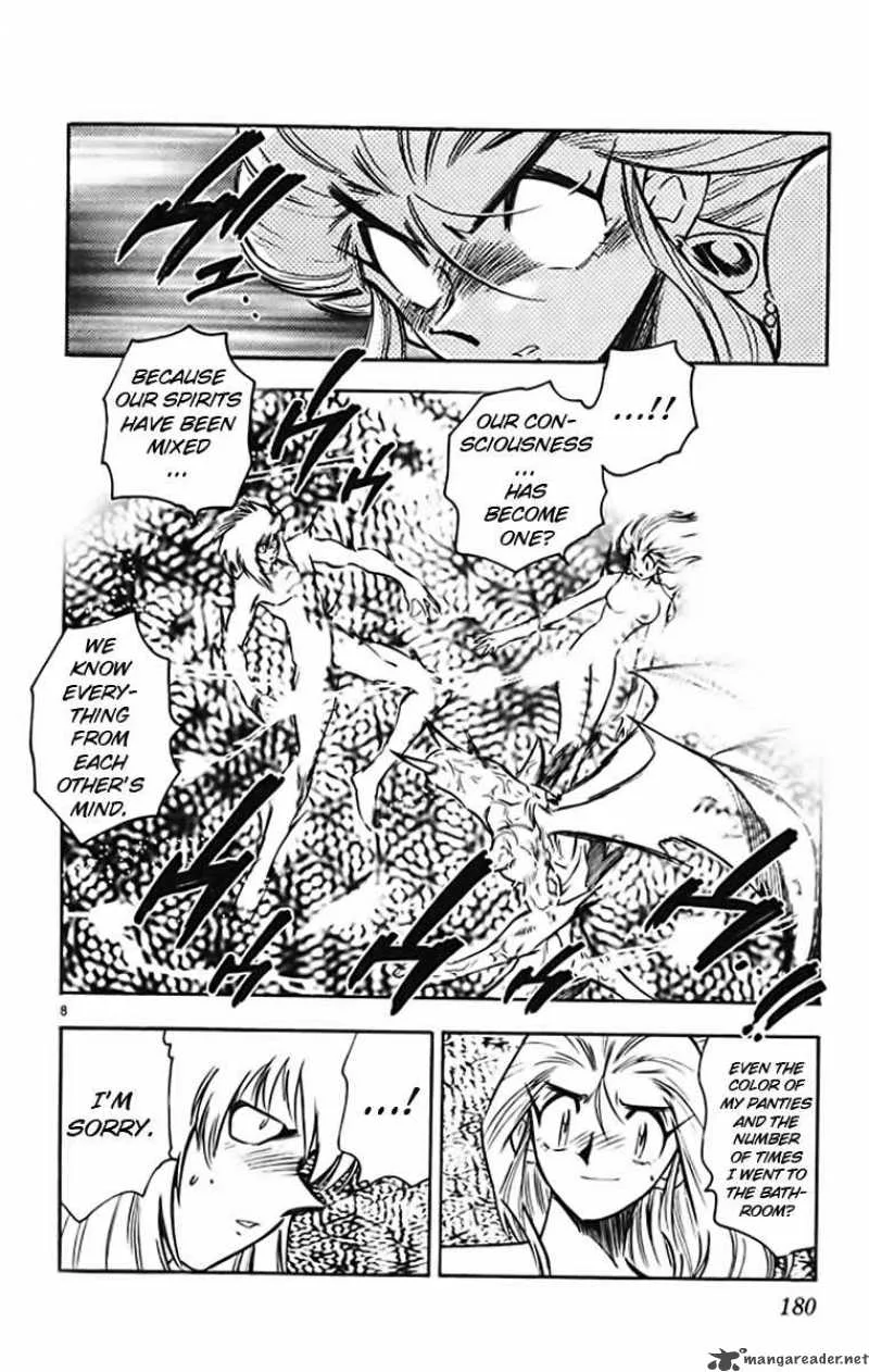 Ghost Sweeper Mikami Chapter 372 page 8
