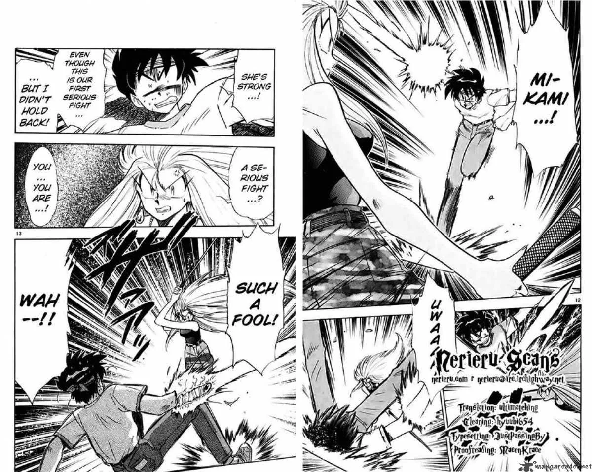 Ghost Sweeper Mikami Chapter 378 page 19