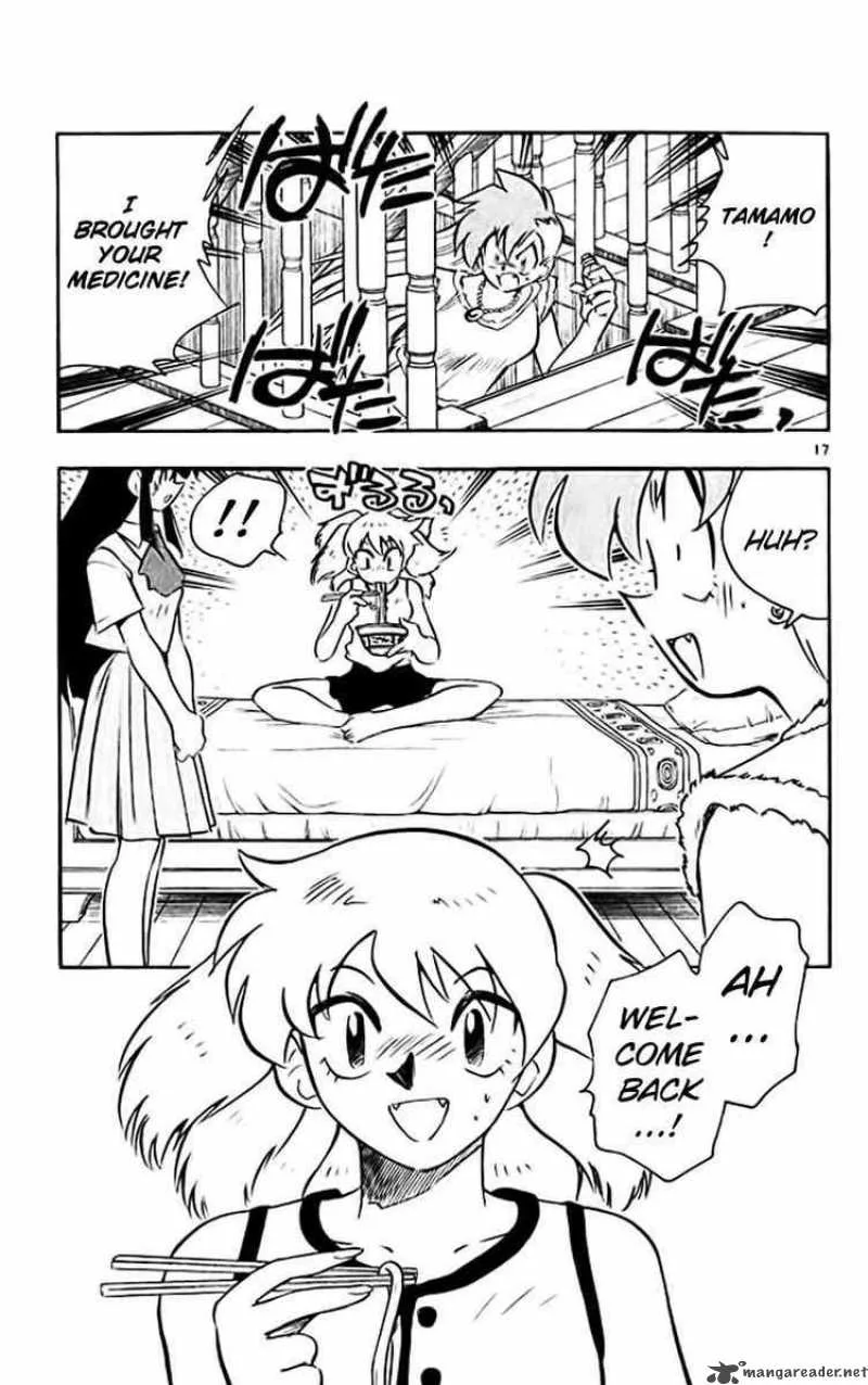Ghost Sweeper Mikami Chapter 378 page 17